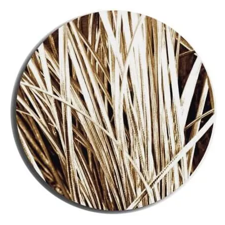 Lacets fins métallisés dorés pour vos chaussures