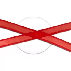 Lacets organdi rouges gansés de satin pour vos chaussures 2