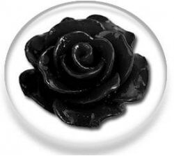 1 paire x ​décorations de lacets rose noire