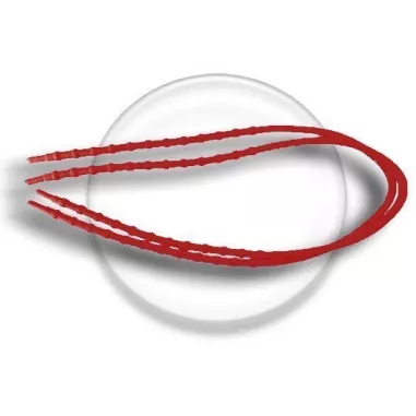 Lacets autobloquants silicone : 11 coloris | LacetsFun