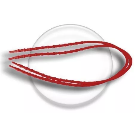 Lacets autobloquants silicone : 11 coloris | LacetsFun