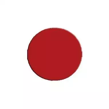 Lacets sans noeud silicone autobloquants pour vos chaussures de spost