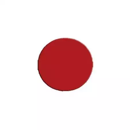 Lacets sans noeud silicone autobloquants pour vos chaussures de spost