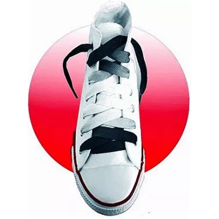 Lacets dégradés noirs pour vos chaussures